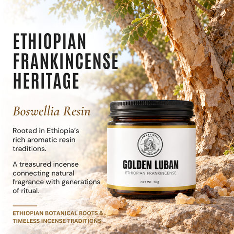 Ethiopian Golden Luban | Boswellia papyrifera Frankincense
