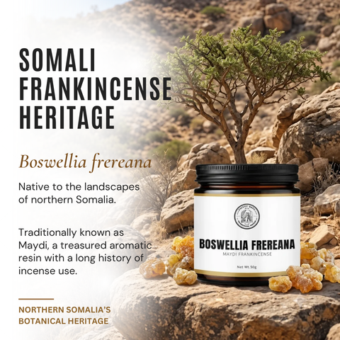 Frereana Frankincense Resin Maydi
