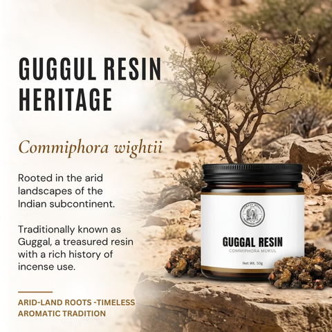 Guggul Resin | Guggal | Commiphora wightii