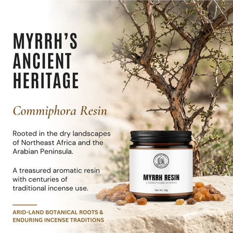 Myrrh Resin | Mur Makki | Commiphora myrrha