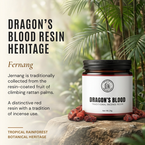 Dragon’s Blood Resin | Jernang | Daemonorops draco
