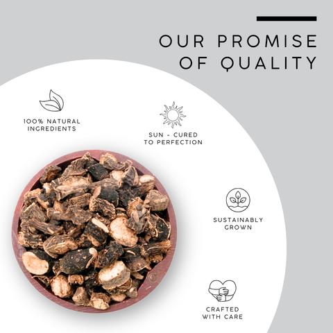 Black Musli Root - Curculigo Orchioides