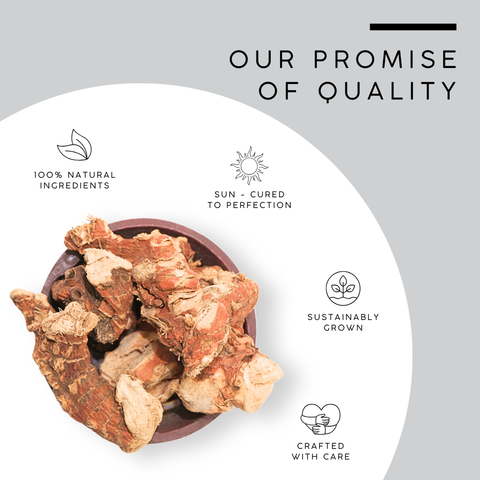 Whole Galangal Root | Alpinia Galanga Rhizome