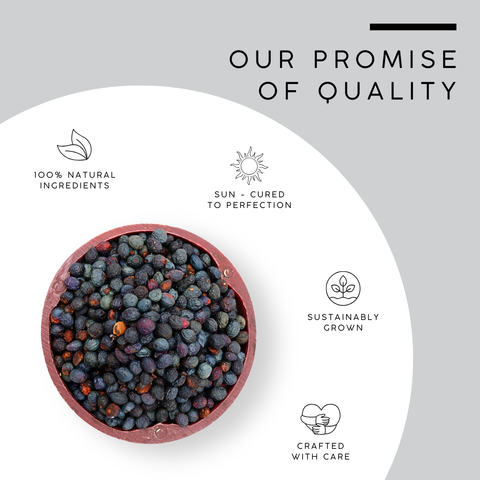 Juniper Berries | Whole Natural Berries