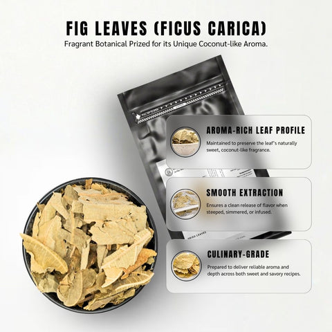 Fig Leaves (Anjeer Leaves) - Ficus Carica