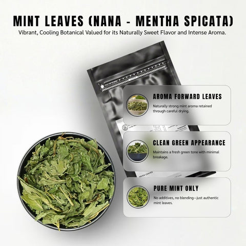Mint Leaves (Nana) - Mentha Spicata