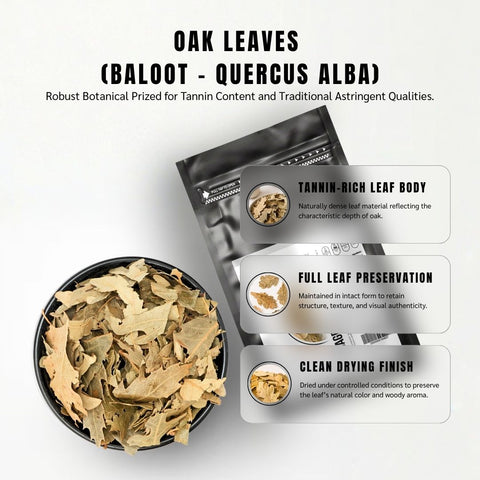 Oak Leaves (Baloot) - Quercus Alba