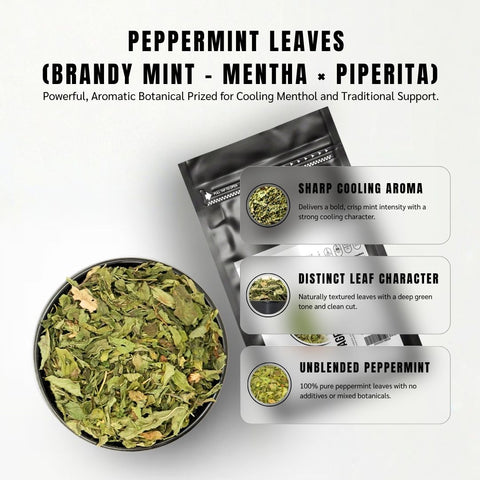 Peppermint Leaves - Mentha Piperita
