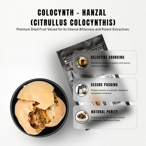 Colocynth (Hanzal) - Citrullus Colocynthis