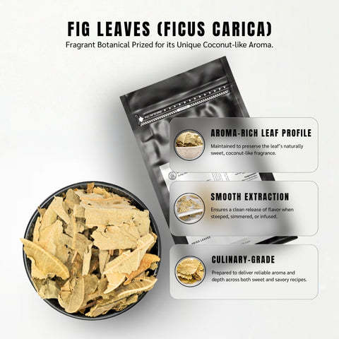 Fig Leaves (Anjeer Leaves) - Ficus Carica