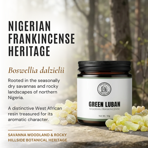Harrabi Nigerian Frankincense |  Boswellia dalzielii