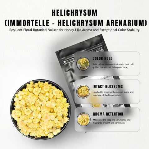 Helichrysum Flower | Helichrysum Italicum