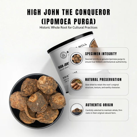 High John the Conqueror (Jalap Root) - Ipomoea Purga