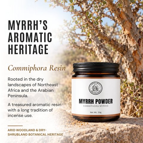 Myrrh Resin Powder | Mur Makki | Commiphora myrrha