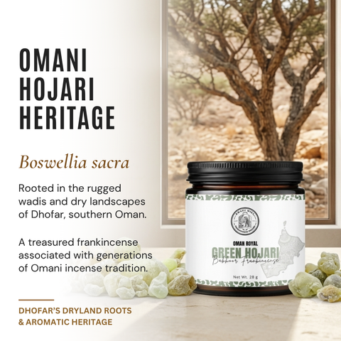 Omani Royal Green Hojari Frankincense | Bakhoor Grade