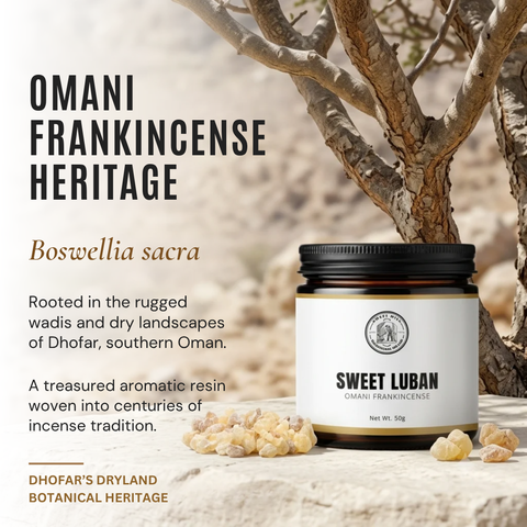 Omani Frankincense |  Edible Sweet Luban