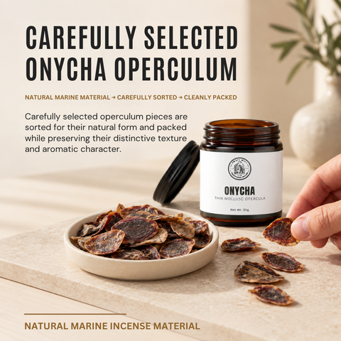 Onycha Operculum | Dhifra Marine Incense Material