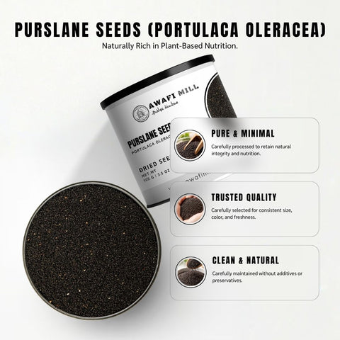 Purslane Seeds (Kulfa Beej) – Portulaca oleracea