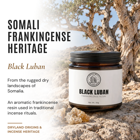 Somali Black Frankincense |  Boswellia neglecta