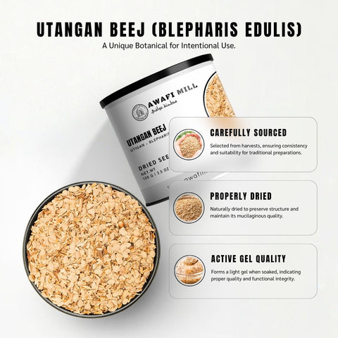 Utangan Beej (Utigan Seeds) – Blepharis edulis