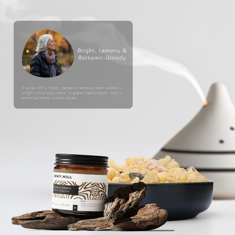 Yemeni Boswellia Serrata | Premium Frankincense Resin