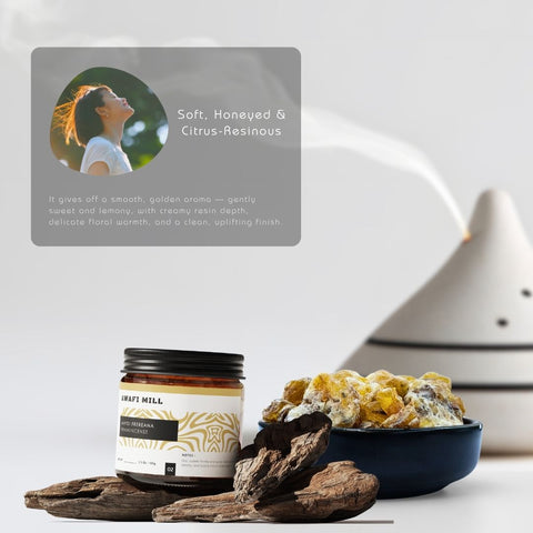 Frereana Frankincense Resin Maydi