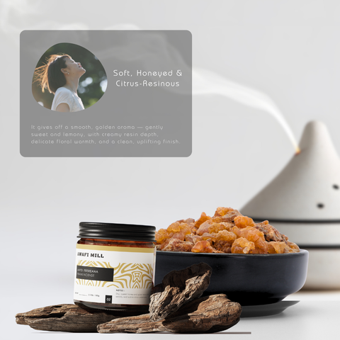 Frereana Frankincense Resin Maydi