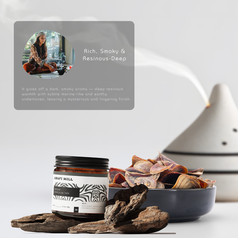 Onycha (Operculum) - Natural Incense Fixative | Premium Raw Aromatic Seashell Operculum