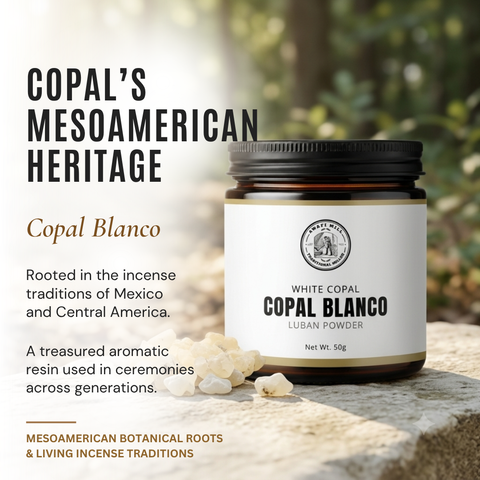 White Copal Resin | Copal Blanco |  Bursera bipinnata