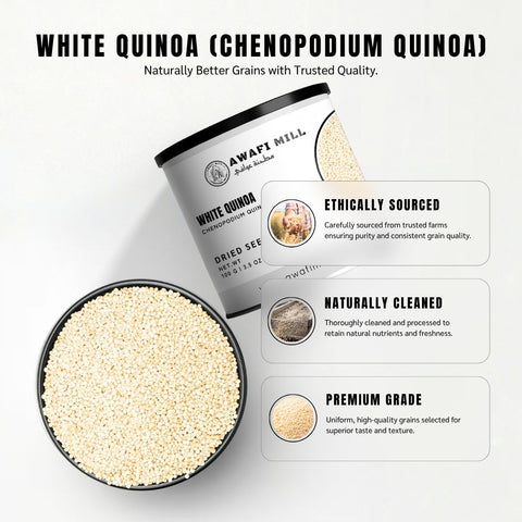 White Quinoa – Chenopodium quinoa Willd.