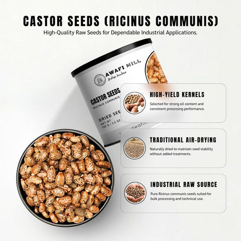 Castor Seeds (Erand / Arandi) – Ricinus communis