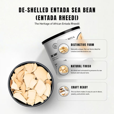 De-Shelled Entada Seed Pulp – Entada rheedei