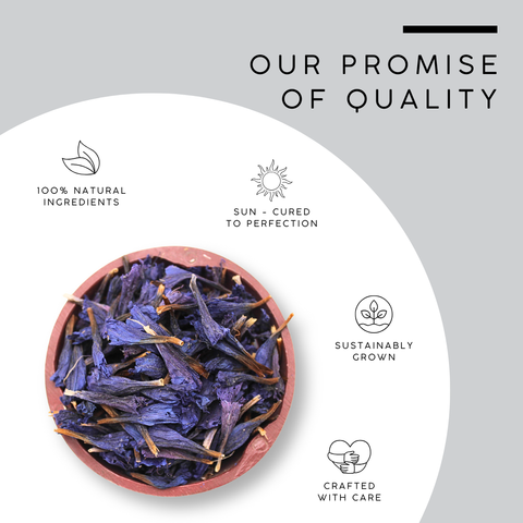 Blue Cornflower Petals | Centaurea Cyanus