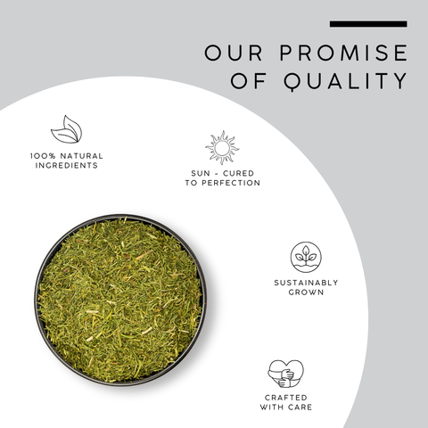 Dried Dill Leaf | Dill Weed