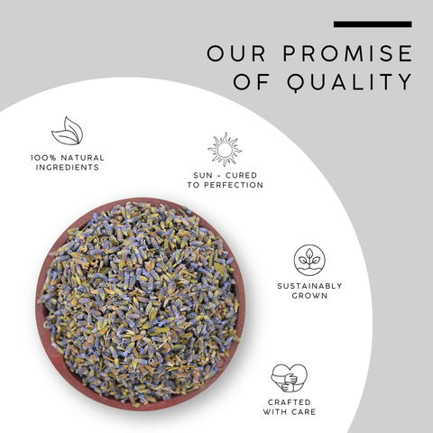 Lavender Flower Buds | Dried Aromatic Blossoms