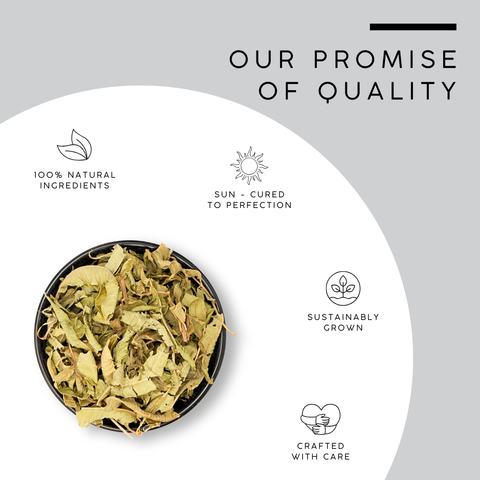 Lemon Verbena Leaves | Vervain Leaf