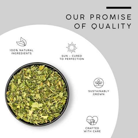 Moringa Leaves (Sahjan Leaves) - Moringa Oleifera