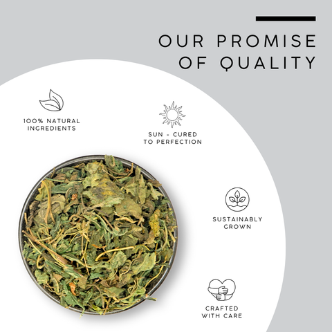 Stinging Nettle Leaves | Urtica Dioica