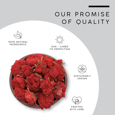 Pomegranate Flower | Punica Granatum