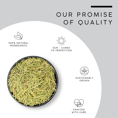 Dried Rosemary Leaves | Rosmarinus Officinalis