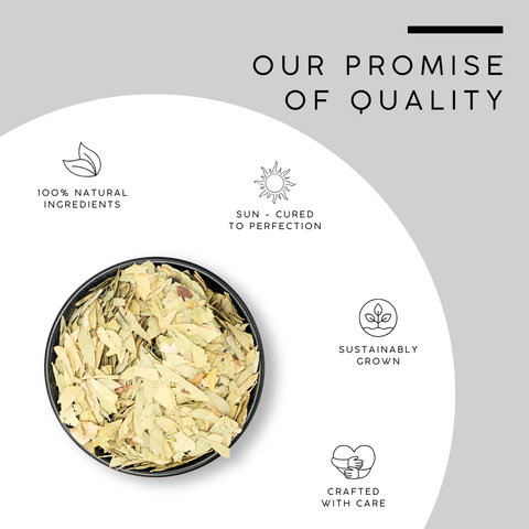 Senna Leaves | Cassia Angustifolia