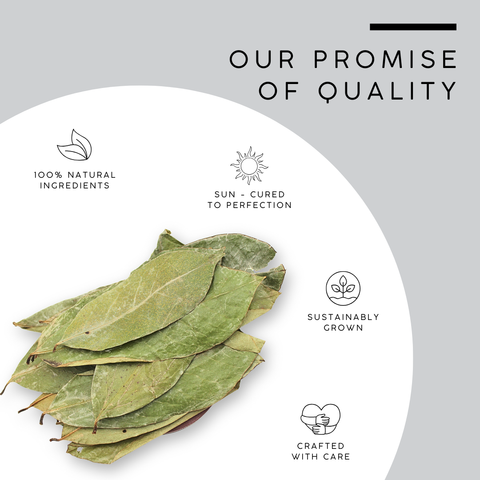 Soursop Leaves | Graviola | Annona Muricata