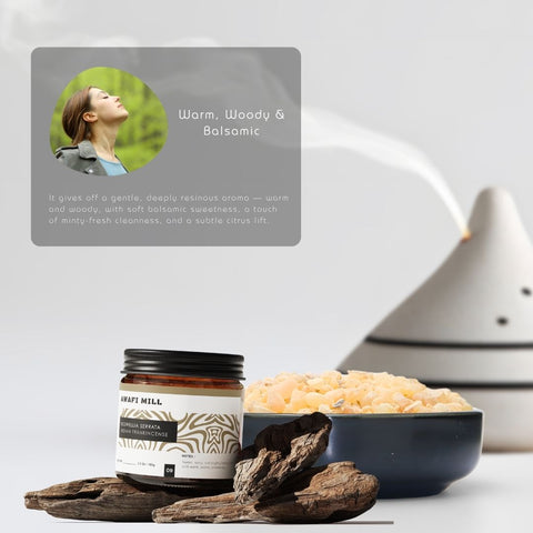 Boswellia Serrata | Indian Frankincense