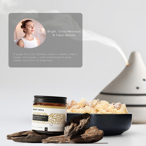 Omani Frankincense Boswellia sacra - Sweet Luban