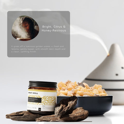 Golden Luban | Incense Tears