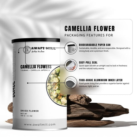 Camellia Flowers (Tsubaki) - Camellia Japonica