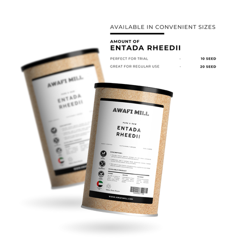 Entada Sea Bean (Snuff Box Sea Bean) – Entada rheedei