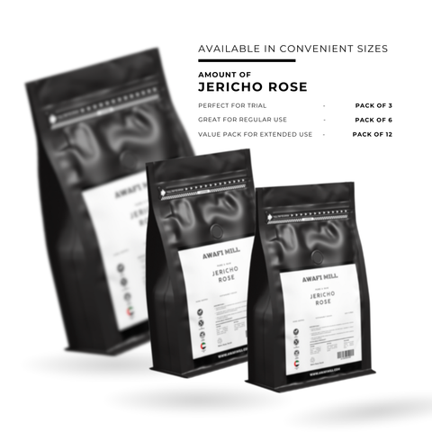 Jericho Rose | Chajarat Mariam