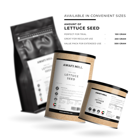 Lettuce Seeds (Tukhm-e-Kahu) – Lactuca sativa