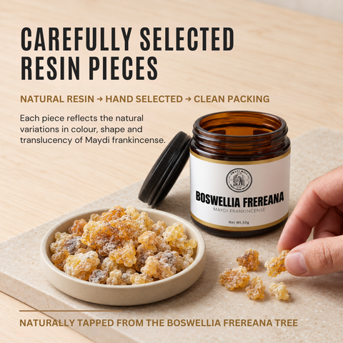 Frereana Frankincense Resin Maydi